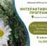 Интерактивная программа «Под Покровом Петра и Февроньи» - Краеведческий музей