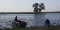 Астраханским рыбакам вновь разрешили добывать раков: но есть условия - Bloknot-Astrakhan.Ru