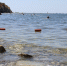 Вода как парное молоко - на этом российском курорте море прогрелось сильнее всего - ОКА-ФМ
