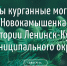 Интерактивный плакат "Курганные могильники около сел Новокамышенка и Сапогово на территории Ленинск-Кузнецкого муниципального округа" - Научная библиотека им. В.Д. Федорова