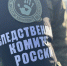 В Камчатском крае организована доследственная проверка по факту происшествия с туристом на вулкане Горелый - Следственный комитет