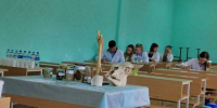 119 новых профессионалов: в университете успешно прошла итоговая аккредитация ветеринаров - НГСХА