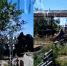 image-02-07-26-10-52 (1) - Сетевое издание Арбуз