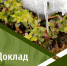 Опубликован доклад об экологической ситуации в Томской области в 2025 году - Департамент природных ресурсов и охраны окружающей среды