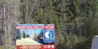 В Октябрьском лесничестве завершается приёмка противопожарных и восстановительных работ - Департамент лесного хозяйства