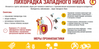 Лихорадка западного Нила - Островский муниципальный район
