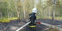 ​На территории Омского сельсовета произошло возгорание растительности - Управление гражданской защиты
