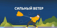 В Орловской области ожидаются осадки и порывы ветра до 24 м/с - МЧС