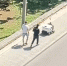 Выгул робота под конвоем попал на видео в центре Воронежа - Bloknot-Voronezh.Ru