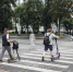 Городские власти взяли на особый контроль работу кикшеринговых компаний - Администрация г. Екатеринбург