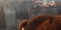 Почти ежедневно в реанимации детской больницы дети, выпавшие из окон - Газета Навигатор