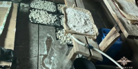 Сеть накрыла и Самарскую область: раскрыт мощный мафиозный синдикат - видео - КТВ-ЛУЧ