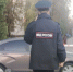 Пьяный йошкаролинец в Алексеевском протаранил машину и обматерил инспектора ДПС - Pg12.Ru