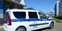 Ружанам напоминают об уголовной ответственности за незаконную рубку деревьев - РузаРИА