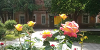 Фото предоставлено СККСПБ №1 - Sk-News.Ru