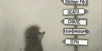 МФЦ ЛНР информирует. - Город Ровеньки
