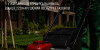 ГЖИ Санкт‑Петербурга выявила свыше 220 нарушений по уборке газонов - Госжилинспекция Санкт‑Петербурга