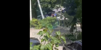 В Пензе иномарка после удара о дерево врезалась в столб сегодня, 2 июля - Stolica58.Ru