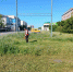Хватит мусорить! Чистота в городе – в наших руках! - Администрация Ейского района