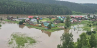 Кын - V-Kurse.Ru