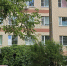 Борские будущие мамы тут? - Tvoy-Bor.Ru