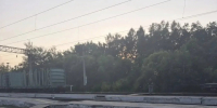 В Хабаровском крае под грузовой поезд попал подросток - AmurMedia.Ru