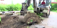 Видео - ТВН