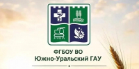 Начни карьеру в IT после 9-го класса: специальность «Техническая эксплуатация и сопровождение информационных систем» в ЮУрГАУ - ЮУрГАУ