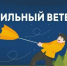 В Орловской области ожидаются осадки и порывы ветра до 24 м/с - InfoOrel.Ru