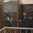 В Петербурге осудили контрабандистов, пытавшихся толкнуть бриллианты на 6 млн рублей - Neva.Today