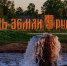 Территорию Царицынского источника в Старой Руссе благоустроили в 2023 году. - Новгородские Ведомости