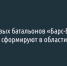 Восемь новых батальонов «Барс-Белгород»​ сформируют в области - Fonar.Tv