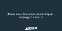 Восемь новых батальонов «Барс-Белгород»​ сформируют в области - Fonar.Tv