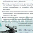 Встреча с диким зверем в лесу: знать, чтобы выжить! Лес — это не только грибы и ягоды, но и дом для диких животных. Что делать, если на тропе встретился лось, кабан или волк? - Миякинский район