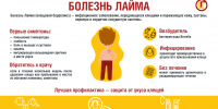 Об эпидситуации по клещевому вирусному энцефалиту и другим инфекциям, передающимся клещами - Роспотребнадзор