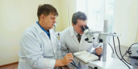 Ученые ОрГМУ с коллегами из Казахстана нашли новый подход к препарированию глазного яблока - ОрГМУ