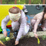 Обучение через общение с природой. - Управление общего и дошкольного образования