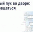 Что делать, если двор заполонил тополиный пух - Городской округ Кинель