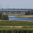 В Калининграде планируют отремонтировать Берлинский мост - Kaliningrad.Ru
