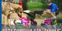 ЛАПА ПОМОЩИ ДЛЯ "ЛУЧИКА" - Администрация Саянска