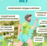 Лето — идеальная пора для занятий спортом на улице - Великоустюгский муниципальный округ