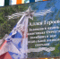 В селе под Астраханью открыли Аллею Героев СВО по просьбам их родных - Bloknot-Astrakhan.Ru