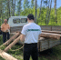 В Сосновоборске завершается обустройство первой стоянки на тропе «Пионерская»: пешие прогулки для жителей и гостей округа станут комфортнее - Газета Рабочий