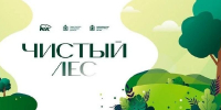 В лесу под Солнечногорском проведут субботник-соревнование - РТВ-Подмосковье