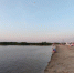 В Курской области возле водоемов выявили 270 детей без взрослых - Курские Известия