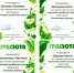tsveti 5 - Библиотечно-информационная система