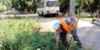 В рамках муниципального контракта в Курске подрядчик ИП Сароян продолжает осуществлять уход за цветниками. - Город Курск