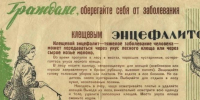 Вологодская область вновь в числе регионов с наибольшим количеством обращений из-за укусов клещей - Вологда-поиск