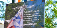 Аллея Героев в честь бойцов СВО появилась в Астраханской области - Астрахань 24