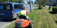 Неравная борьба продолжается. Сотрудники ЦУГД ежедневно окашивают траву во Владимире - 6tv.Ru
